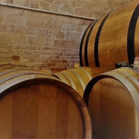 In Old Winery *