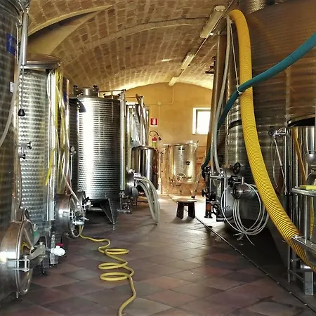 In Old Winery *