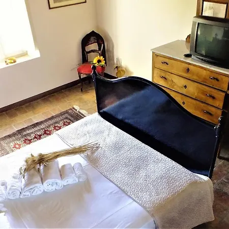 Casa vacanze In Old Winery Villa San Paterniano