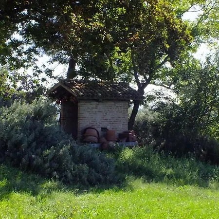 In Old Winery Villa San Paterniano