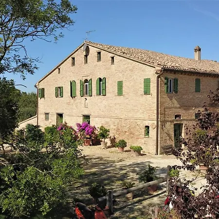 In Old Winery Villa San Paterniano