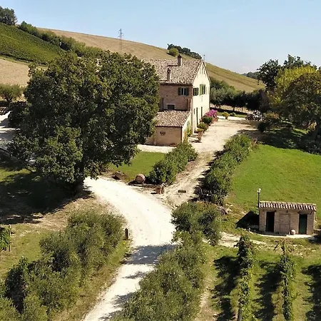 In Old Winery Villa San Paterniano