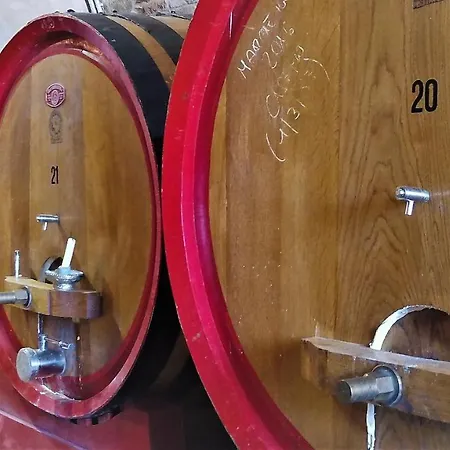 In Old Winery * Villa San Paterniano