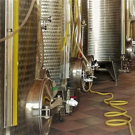 In Old Winery * Villa San Paterniano